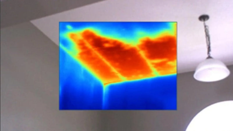Thermal Imaging for Mold Detection: Complete Guide article cover image